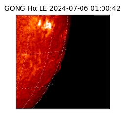 gong - 2024-07-06T01:00:42