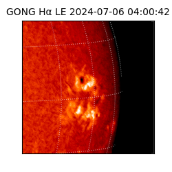 gong - 2024-07-06T04:00:42