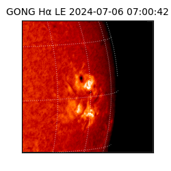 gong - 2024-07-06T07:00:42