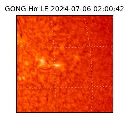gong - 2024-07-06T02:00:42