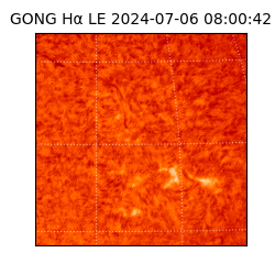 gong - 2024-07-06T08:00:42