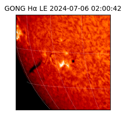 gong - 2024-07-06T02:00:42