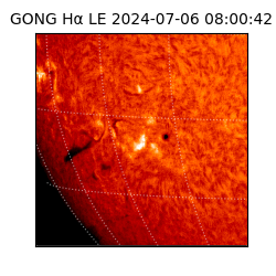 gong - 2024-07-06T08:00:42