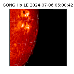 gong - 2024-07-06T06:00:42