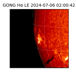 gong - 2024-07-06T02:00:42