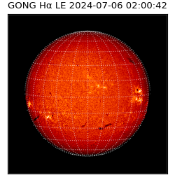 gong - 2024-07-06T02:00:42