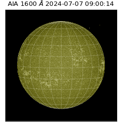 saia - 2024-07-07T09:00:14.133000