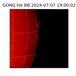 gong - 2024-07-07T19:00:02