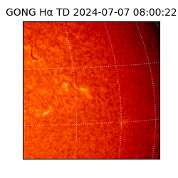 gong - 2024-07-07T08:00:22