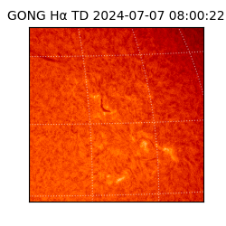 gong - 2024-07-07T08:00:22