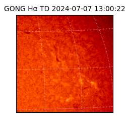 gong - 2024-07-07T13:00:22