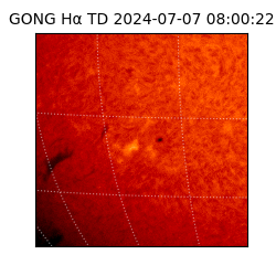 gong - 2024-07-07T08:00:22