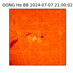 gong - 2024-07-07T21:00:02