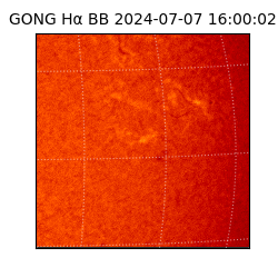 gong - 2024-07-07T16:00:02