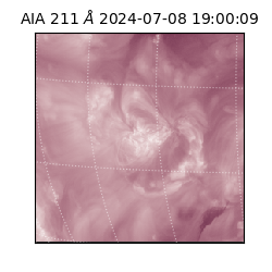 saia - 2024-07-08T19:00:09.629000