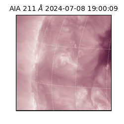 saia - 2024-07-08T19:00:09.629000
