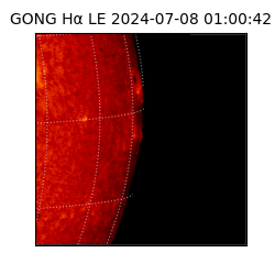 gong - 2024-07-08T01:00:42
