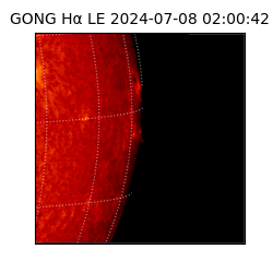 gong - 2024-07-08T02:00:42