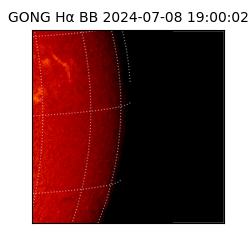 gong - 2024-07-08T19:00:02
