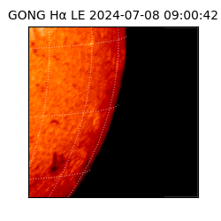 gong - 2024-07-08T09:00:42