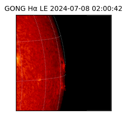 gong - 2024-07-08T02:00:42