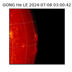 gong - 2024-07-08T03:00:42