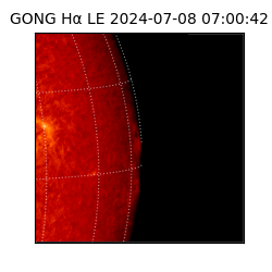 gong - 2024-07-08T07:00:42