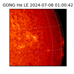 gong - 2024-07-08T01:00:42