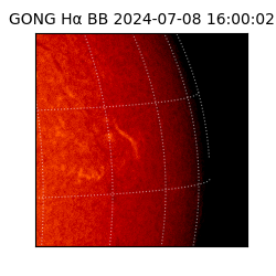 gong - 2024-07-08T16:00:02