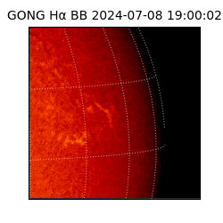 gong - 2024-07-08T19:00:02