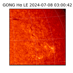 gong - 2024-07-08T03:00:42