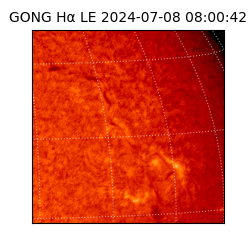 gong - 2024-07-08T08:00:42