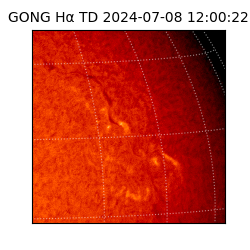 gong - 2024-07-08T12:00:22