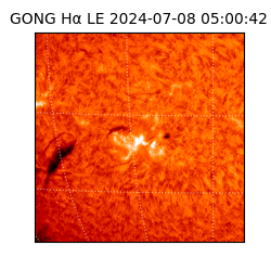 gong - 2024-07-08T05:00:42