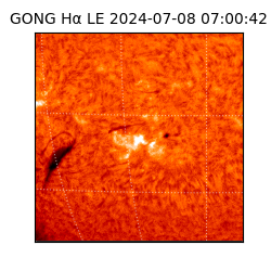 gong - 2024-07-08T07:00:42