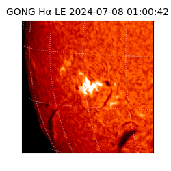 gong - 2024-07-08T01:00:42