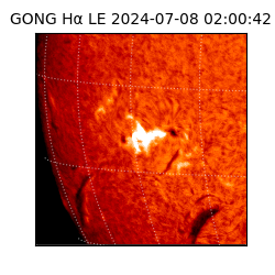 gong - 2024-07-08T02:00:42