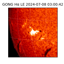 gong - 2024-07-08T03:00:42