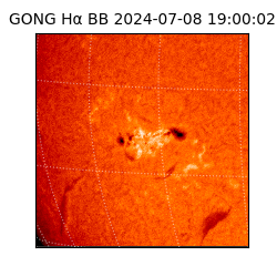 gong - 2024-07-08T19:00:02
