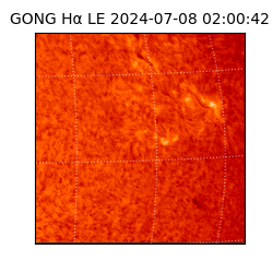 gong - 2024-07-08T02:00:42