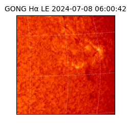 gong - 2024-07-08T06:00:42