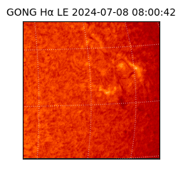 gong - 2024-07-08T08:00:42
