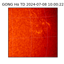 gong - 2024-07-08T10:00:22