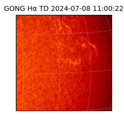 gong - 2024-07-08T11:00:22