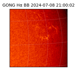 gong - 2024-07-08T21:00:02