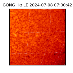 gong - 2024-07-08T07:00:42