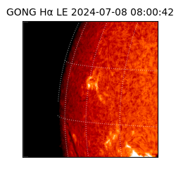 gong - 2024-07-08T08:00:42
