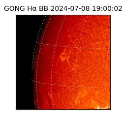 gong - 2024-07-08T19:00:02