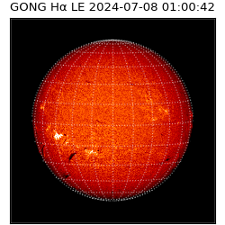 gong - 2024-07-08T01:00:42