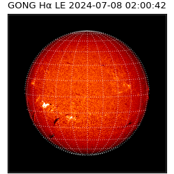 gong - 2024-07-08T02:00:42